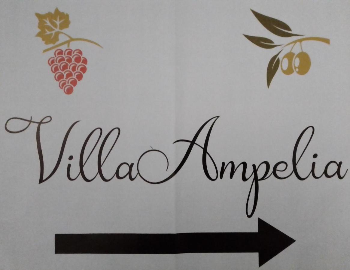 Villa Ampelia Sitía Eksteriør bilde