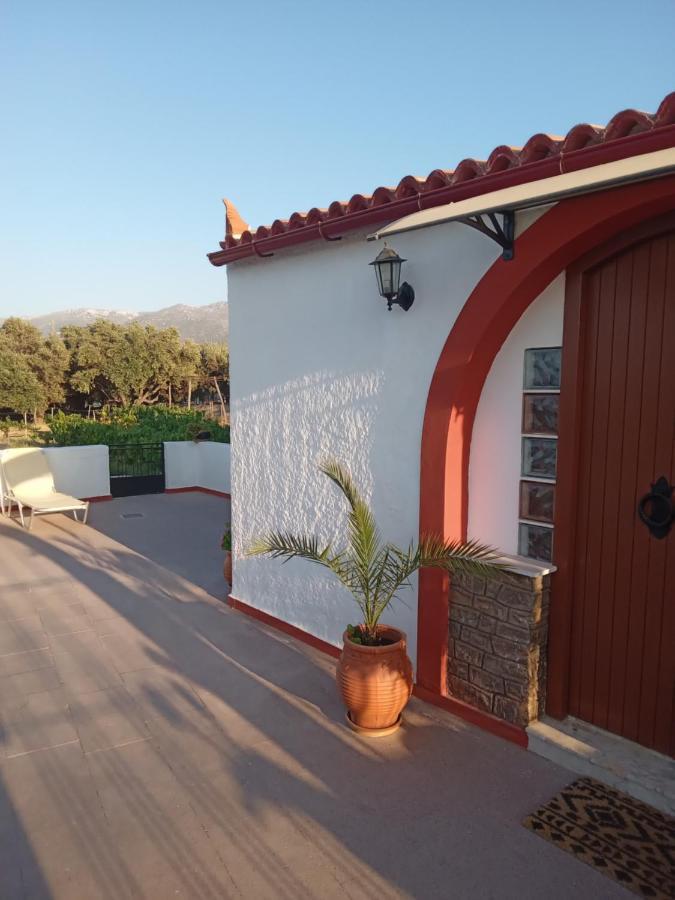 Villa Ampelia Sitía Eksteriør bilde
